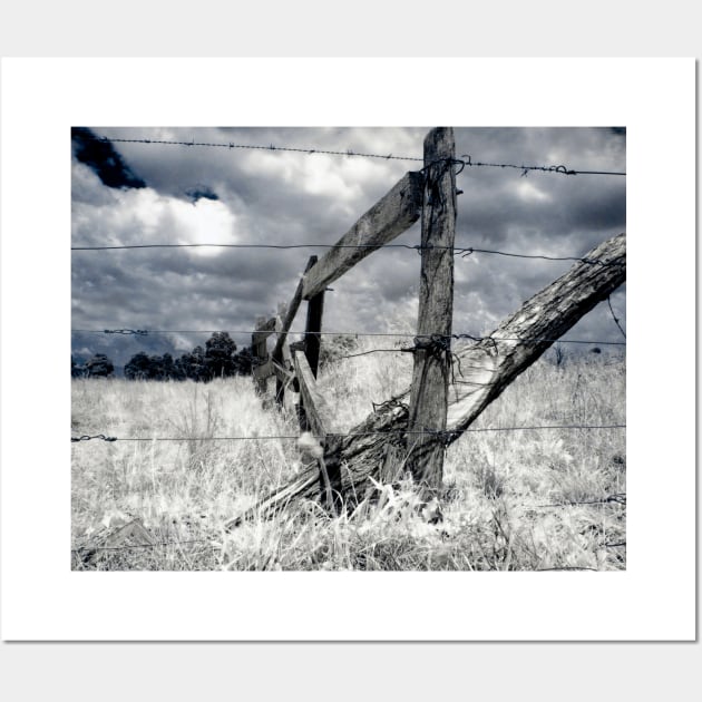 Barbed-wire Fence Wall Art by Naomi Frost